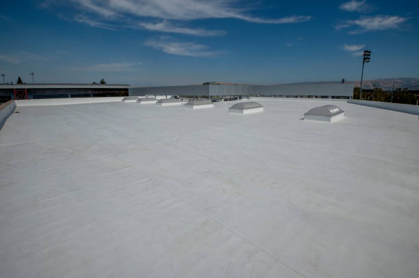 Best Rubber Roofing (EPDM, TPO)  in Emsworth, PA
