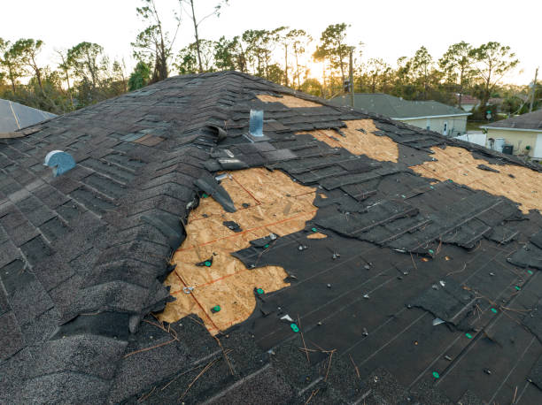 Best Hot Roofs  in Emsworth, PA