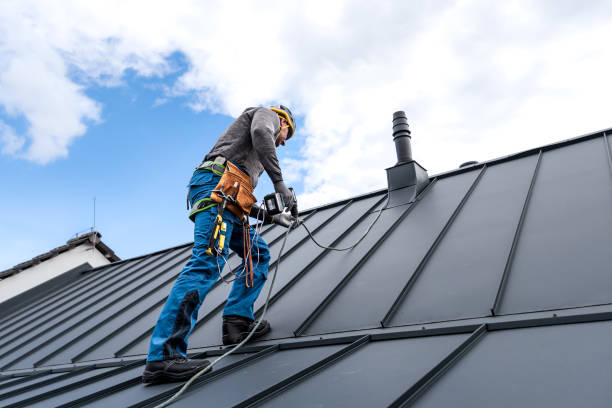 Best Roof Moss and Algae Removal  in Emsworth, PA